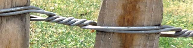 Détail d'une ligature des fils de fer sur un barreau de ganivelle